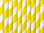 Popieriniai šiaudeliai YELLOW