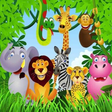 SAFARI GYVŪNAI