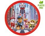 Popierinės lėkštutės PAW PATROL