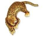Folinis balionas SAVAGE LEOPARD