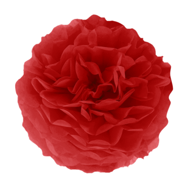 Pakabinama dekoracija POMPON RED 25cm.