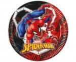 Popierinės lėkštutės SPIDER WORLD OF WEB