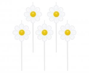 Gimtadienio žvakutės DAISY