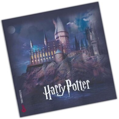 Popierinės servetėlės HARRY POTTER
