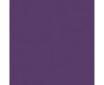 Popierinės servetėlės VIOLET