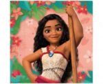 Popierinės servetėlės MOANA