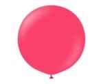 STANDARD MAGENTA PINK 24"