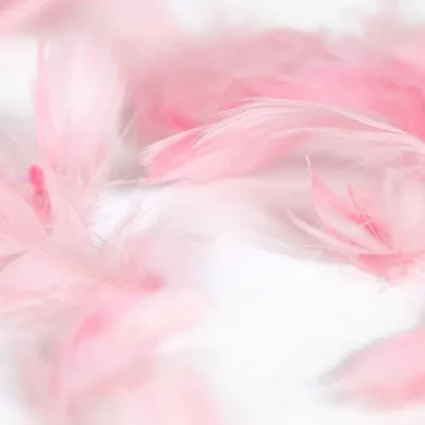 Plunksnų konfeti LIGHT PINK - 100vnt