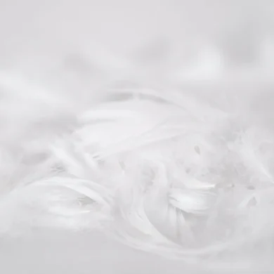 Plunksnų konfeti WHITE - 100vnt